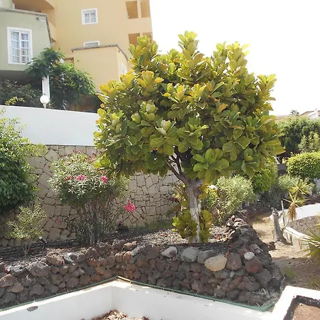 Apartamento Orlando *